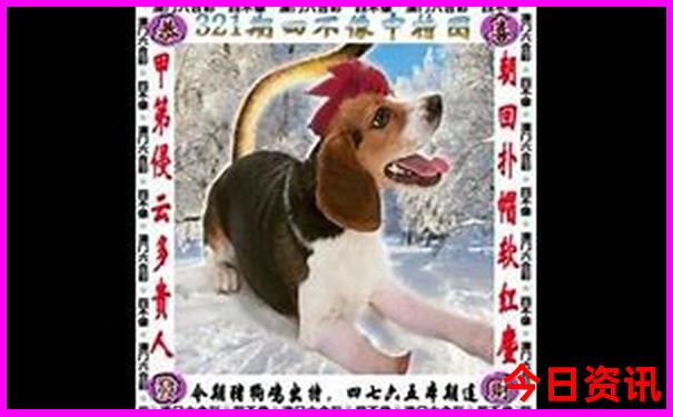 适合孩子去的旅游景点